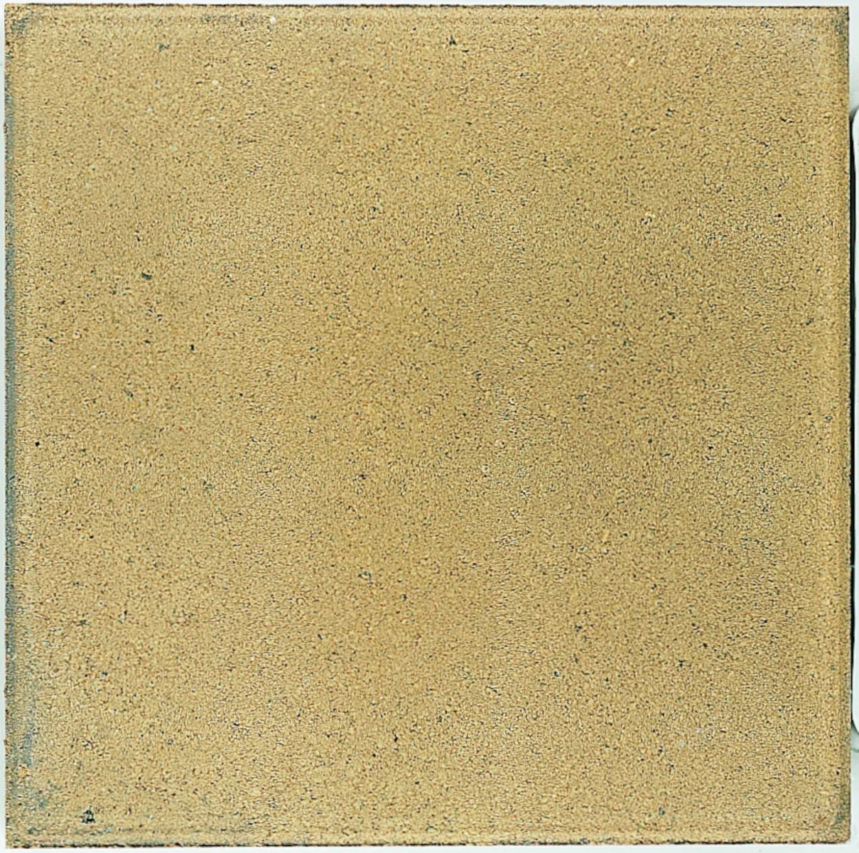 Dreentegel Nxt Comfort Ginger 50x50x4,5